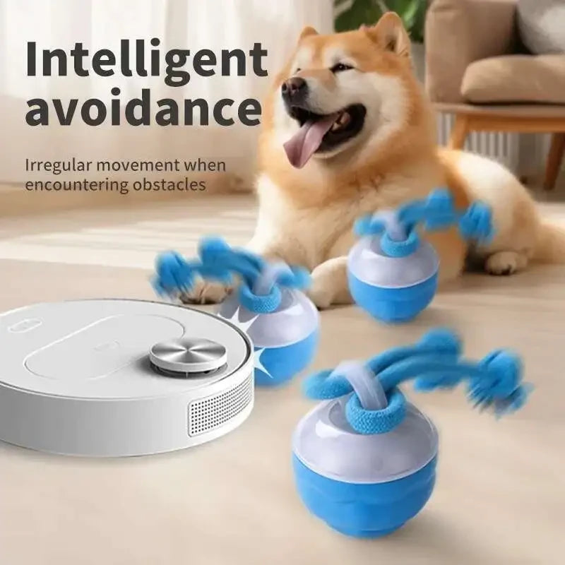 Interactive Dog Toy Ball
