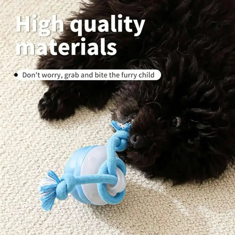 Interactive Dog Toy Ball