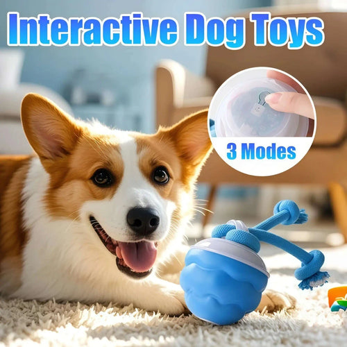 Interactive Dog Toy Ball