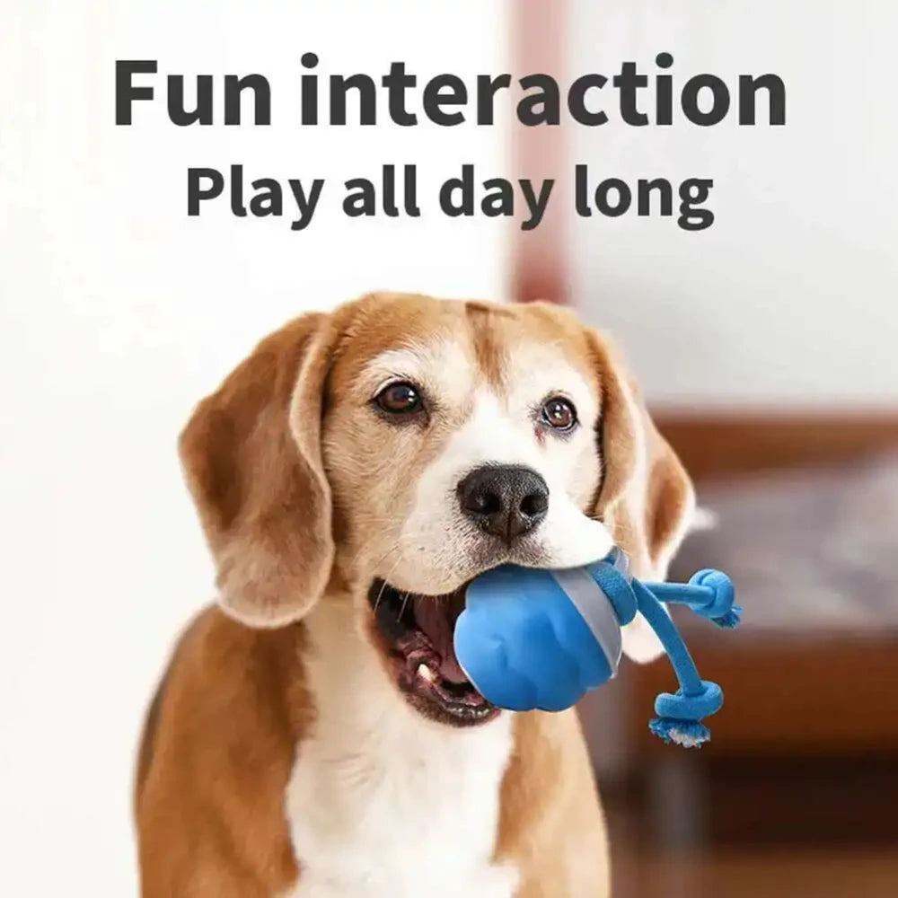 Interactive Dog Toy Ball